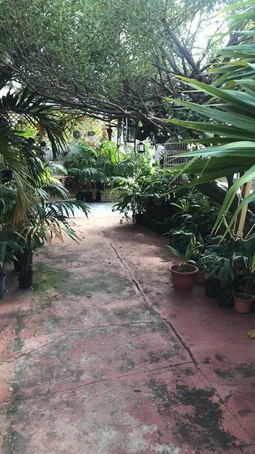 Magical Garden Apartment Savaneta