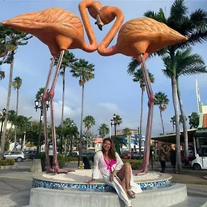 Harmony Aruba Tanki Leendert