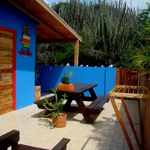 Hopi Cadushi Santa Cruz
