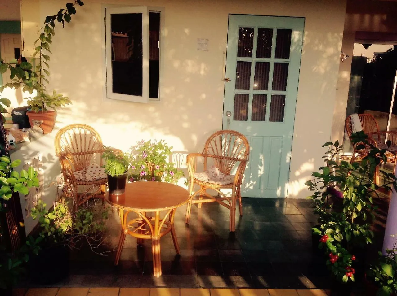 Homestay Magical Garden Apartment Savaneta